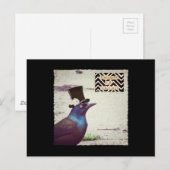 Grackle Snoep of een Leugen Briefkaart (Voorkant / Achterkant)