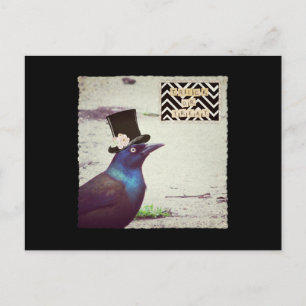 Grackle Snoep of een Leugen Briefkaart