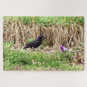 Grackle tussen de bloemen legpuzzel