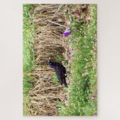 Grackle tussen de bloemen legpuzzel (Verticaal)