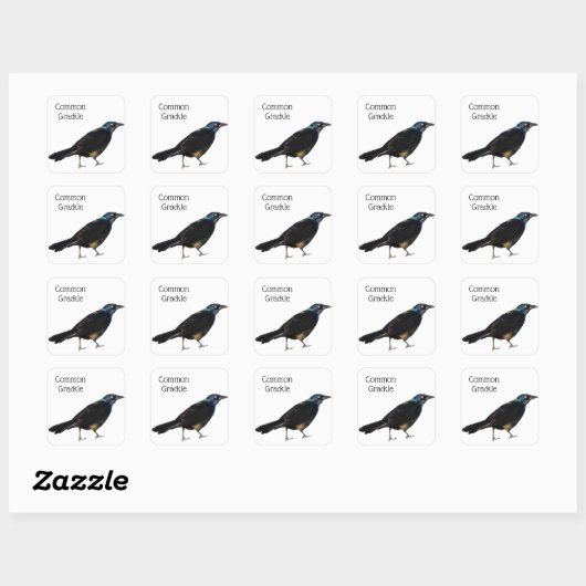 Grackle Vierkante Sticker (Vel)