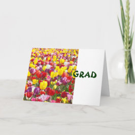 GRAD gelukwenskaarten Gefeliciteerd Tulp Bloemen Kaart
