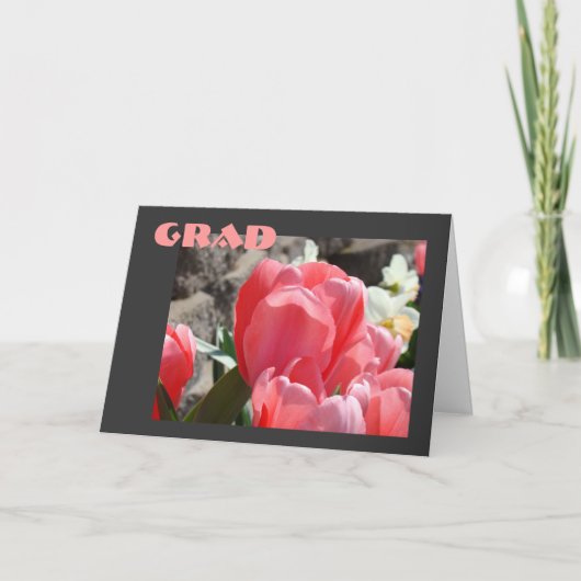 GRAD Wenskaarten Afstuderen Afgestudeerd Tulpen Kaart (Voorkant)
