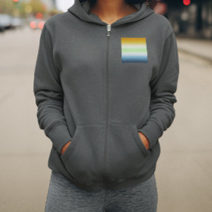 Gradient AroAce Agender Pride Hoodie