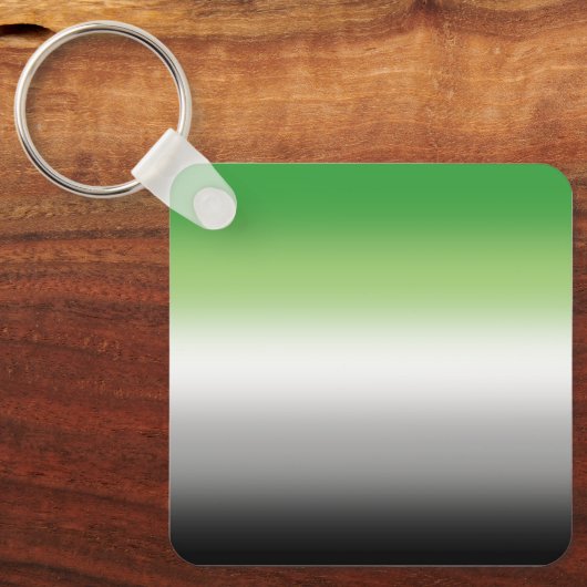 Gradient Aromantic Flag – Kleurrijke Aromantische  Sleutelhanger (Voorkant)
