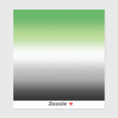 Gradient Aromantic Flag – Kleurrijke Aromantische  Sticker (Vel)