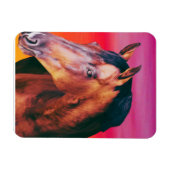 Gradiënt Bay Horse Magneet (Horizontaal)