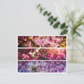 Gradiënt Floral Trio Briefkaart (Staand voorkant)