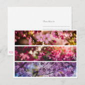 Gradiënt Floral Trio Briefkaart (Voorkant / Achterkant)