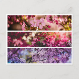 Gradiënt Floral Trio Briefkaart