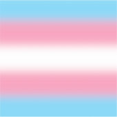 Gradient Transgender Pride Flag - Trans Flag Sticker (Voorkant)