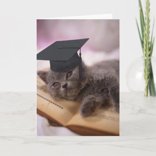 Graduatie, cat with hat kaart (Voorkant)