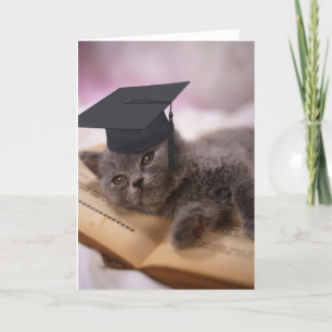 Graduatie, cat with hat kaart