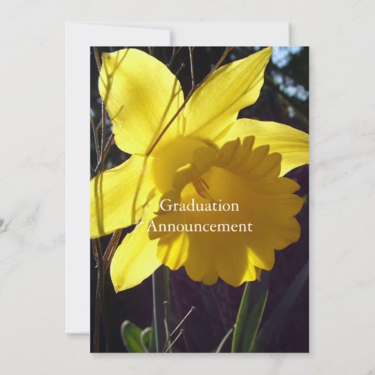 graduatieuitnodigingen voor zomerbloem kaart (Achterkant)