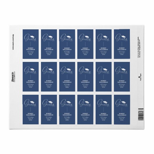 Graduation Cap Blauw retouradres label (Full Sheet)