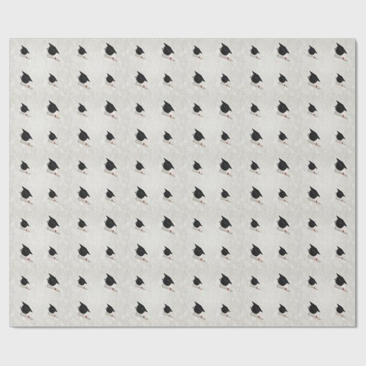 Graduation Cap Diploma Cadeaupapier (Vlak)