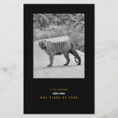 Graduation Cap Toss Silver & Gold Grad Party Flyer (Achterkant)