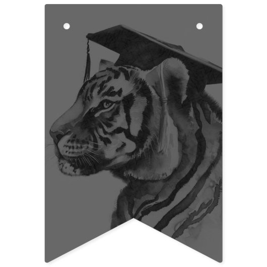 Graduation Party Bunting Flags Vlaggetjes (Derde vlag)