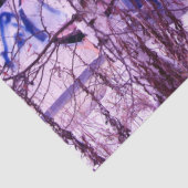 Graffiti Abstract stedelijk 17 deklaagpapier Tissuepapier (Detail)