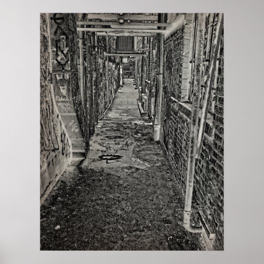 Graffiti Alley Poster (Voorkant)