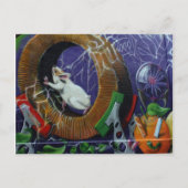 Graffiti Briefkaart (Voorkant)