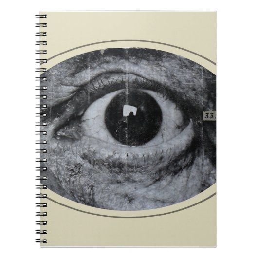 Graffiti Eye Notitieboek (Voorkant)