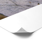 Graffiti in muziek poster (Hoek)