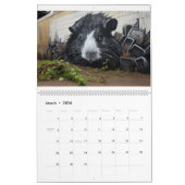 Graffiti-kalender voor cavia's kalender (Mar 2026)