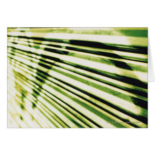 Graffiti op een shutter