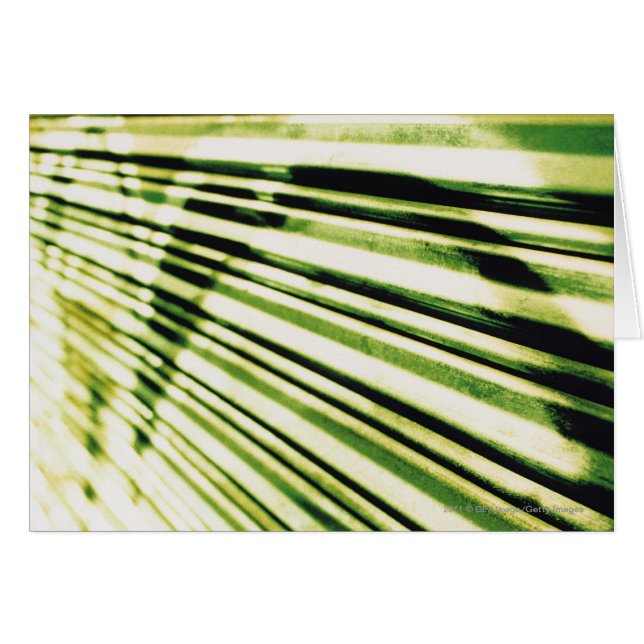 Graffiti op een shutter (Voorkant Horizontaal)