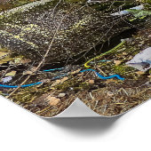 Graffiti Street Art Verlaten Poster van het Gebouw (Hoek)