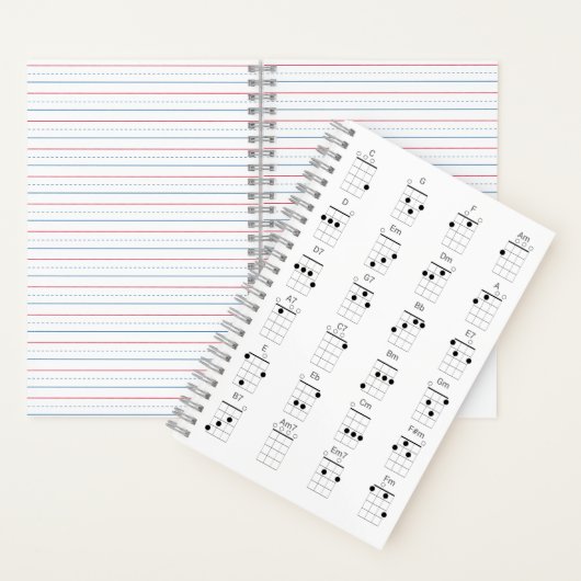Grafiek 24 Vaak Ukulele Chords Grafiek - Uke Cheat Notitieboek (Binnen)