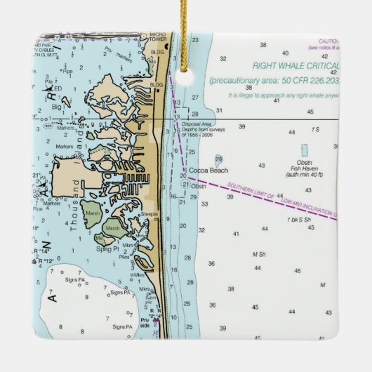 Grafiek Caca Beach FL Keramisch Ornament (Achterkant)