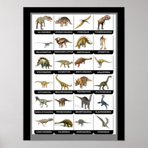 Grafiek Dinosaurs Poster