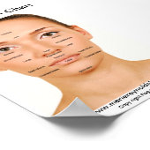 Grafiek Facial Meridian Poster (Hoek)