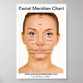 Grafiek Facial Meridian Poster (Voorkant)