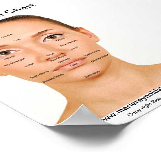 Grafiek Facial Meridian Poster (Hoek)