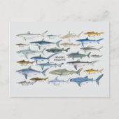 Grafiek haaientypes feestdagenkaart (Voorkant)