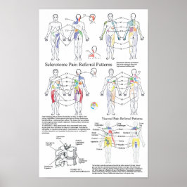 Grafiek met betrekking tot rode bloedcellen poster