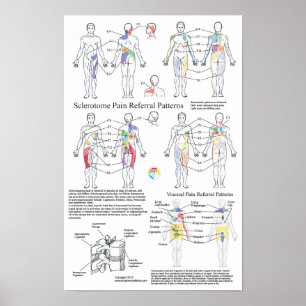 Grafiek met betrekking tot rode bloedcellen poster