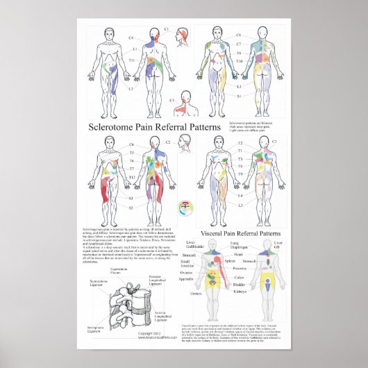 Grafiek met betrekking tot rode bloedcellen poster (Voorkant)