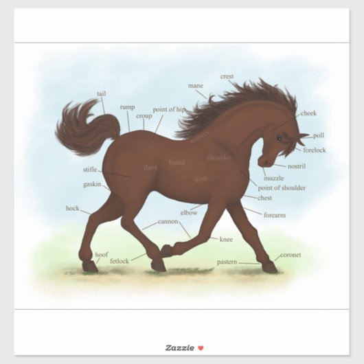 Grafiek met de anatomieafbeelding van bruine paard sticker (Vel)