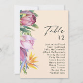 Grafiek met kleurrijke tropische platte peach (Achterkant)