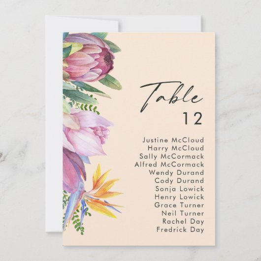 Grafiek met kleurrijke tropische platte peach (Achterkant)