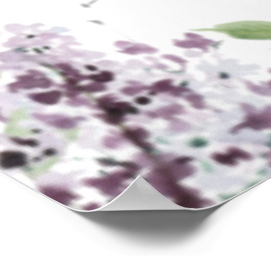 Grafiek met Lila Paarse zweetzaaizaad Poster (Hoek)