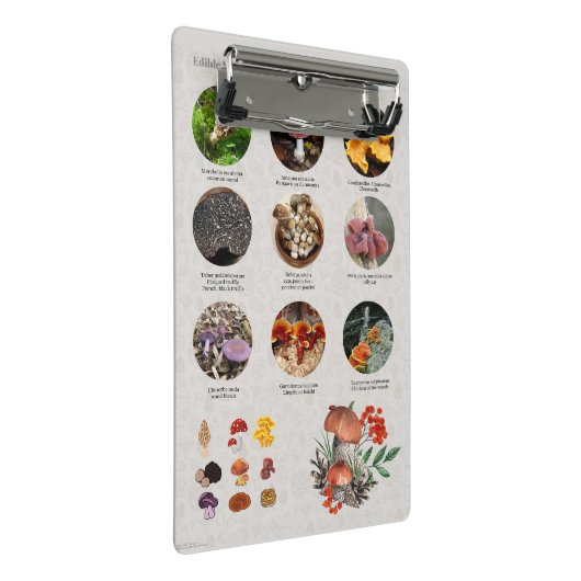 Grafiek met paddenstoelen eetbaar mini klembord (Schuin)