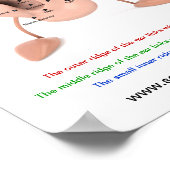 Grafiek Poster (Hoek)