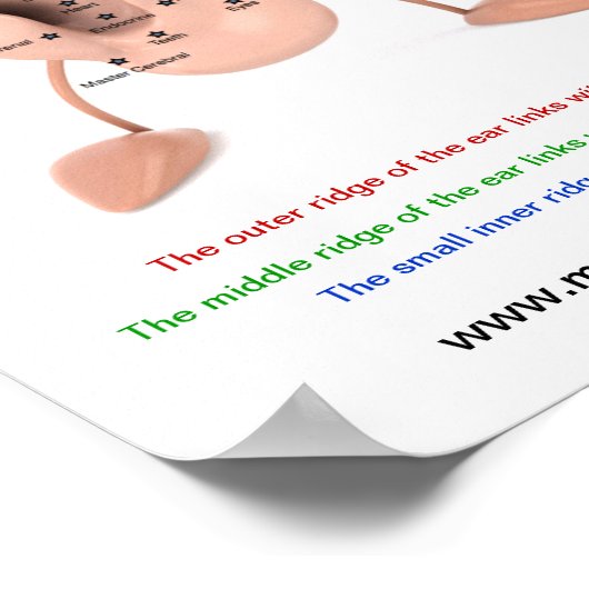 Grafiek Poster (Hoek)