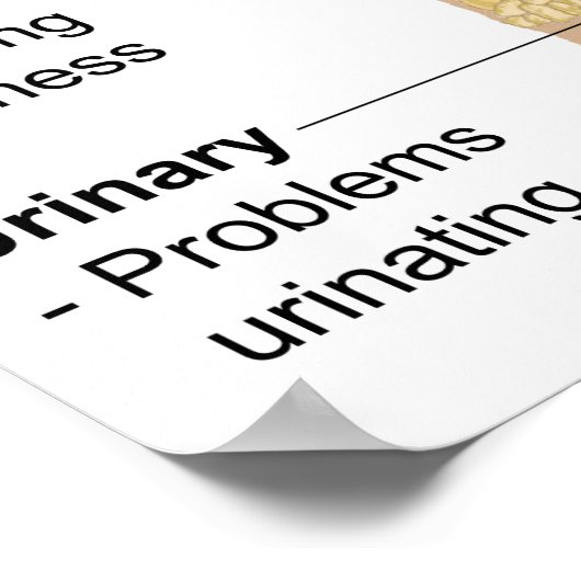 Grafiek Vaak Tekenen + Symptomen Fibromyalgie Post Poster (Hoek)