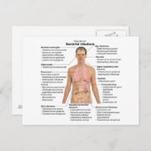 Grafiek van de bacteriële infecties bij de mens briefkaart (Voorkant / Achterkant)